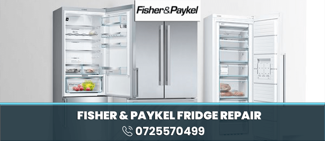 Fisher & Paykel Fridge Repair in Nairobi